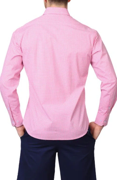 Tailorbyrd Micro Gingham Stretch Cotton Button-up Shirt In Rose Pink
