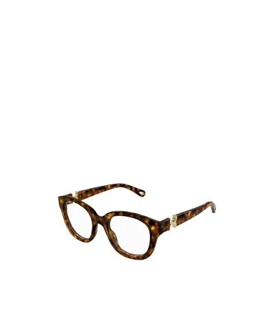 Chloé Full-frame Flat Mirror In Brown