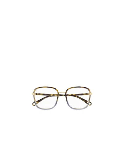 Chloé Full Frame Plain Mirror In Multicolor