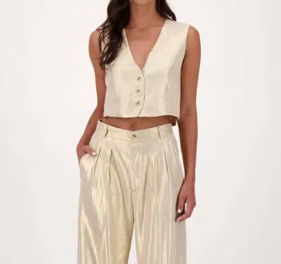 Gabby Isabella Solid Button Front Vest In Gold In Gold