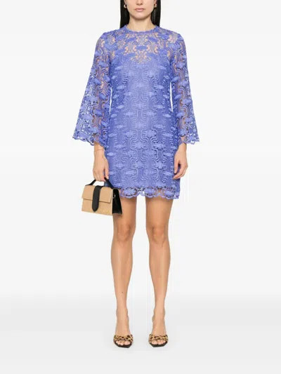 Zimmermann Maxine Lace Mini Dress In Cornflower