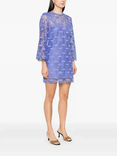 Zimmermann Maxine Lace Mini Dress In Cornflower