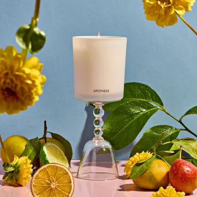 Apotheke Bergamot Tangerine Classic Scented Candle