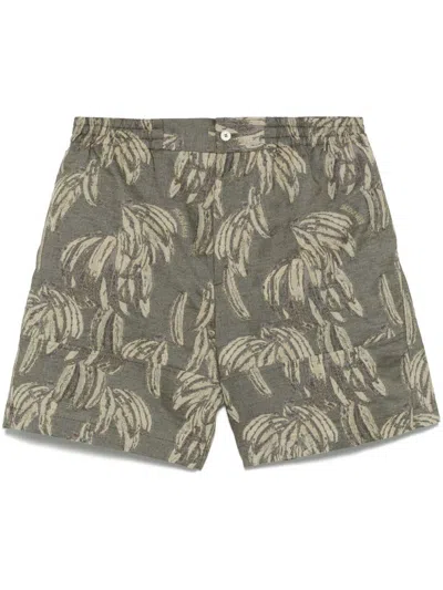 Jacquemus Le Aloe Shorts In Beige