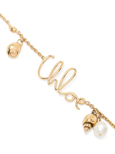 Chloé Shells Chain Necklace In Gold