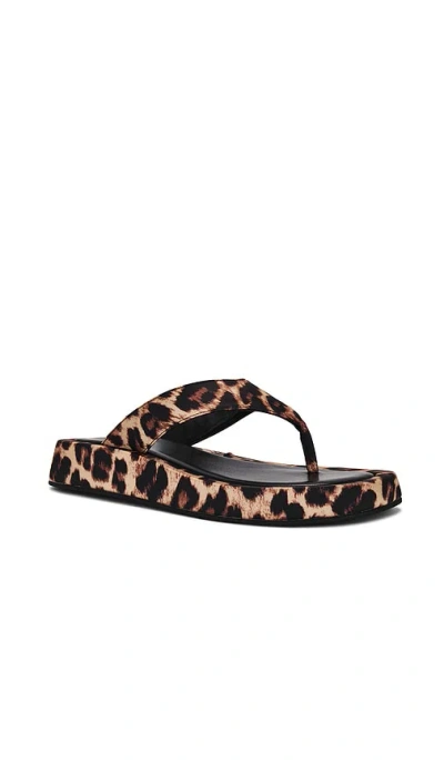 Tony Bianco Ives Leopard Satin In Brown