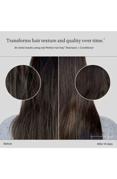 Living Proof Hydrated Hair Essentials Kit In Multi