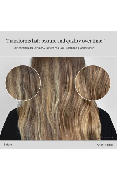 Living Proof Hydrated Hair Essentials Kit In Multi