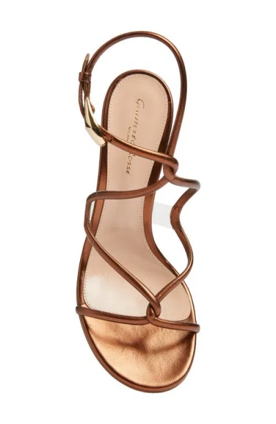 Gianvito Rossi Black Mamba Heeled Sandals 85 In Brown