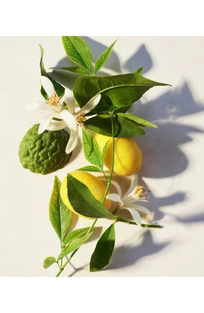 Bvlgari Eau Parfumee The Vert Body Lotion 10.1 Oz. In Multi