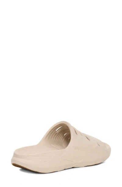 Teva Apretrail Slide Sandal In Birch