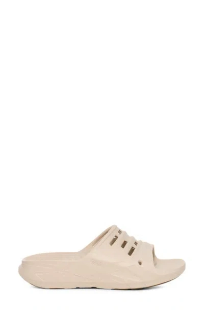 Teva Apretrail Slide Sandal In Birch