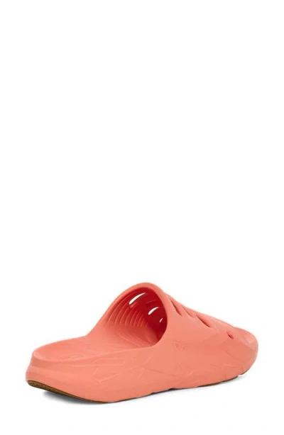 Teva Apretrail Slide Sandal In Blooming Dahlia