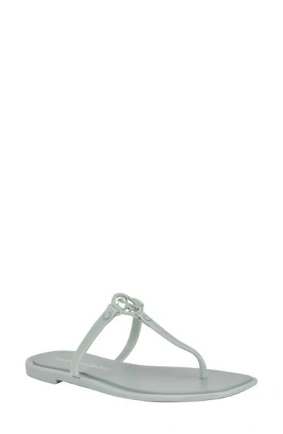 Calvin Klein Women's Edhen Logo T-strap Flat Jelly Sandals In Light Green 331