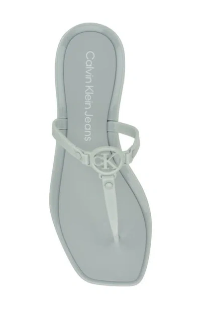 Calvin Klein Women's Edhen Logo T-strap Flat Jelly Sandals In Light Green 331