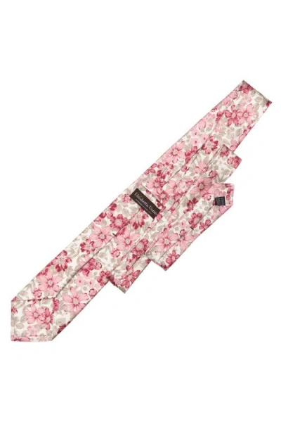 Elizabetta Altamura In Multi