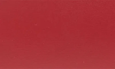 Dolce & Gabbana Dolce&gabbana Marlene Day Mini Bag In 83027 Tono Rosso Scuro