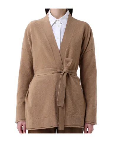 Max Mara Long Sleeve Sweater In Brown