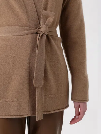 Max Mara Long Sleeve Sweater In Brown