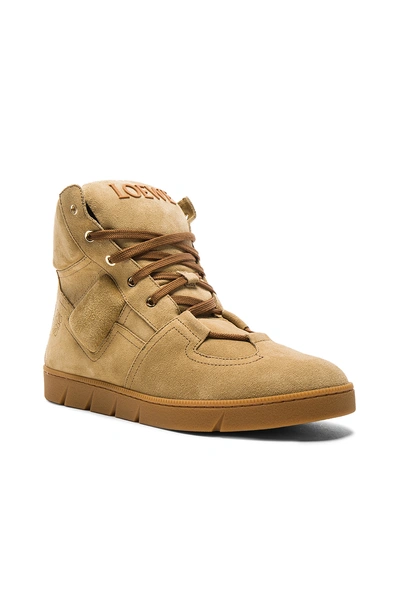 Loewe Camel Suede High top Sneakers In Gold ModeSens