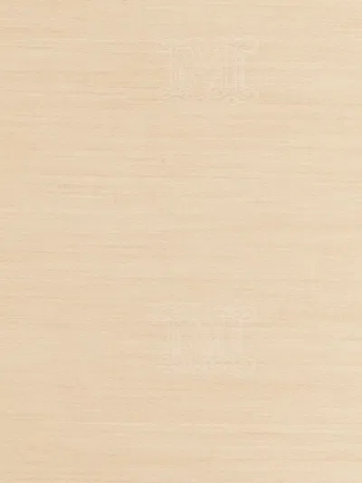 Max Mara Wool And Silk Blend Scarf In 中性色