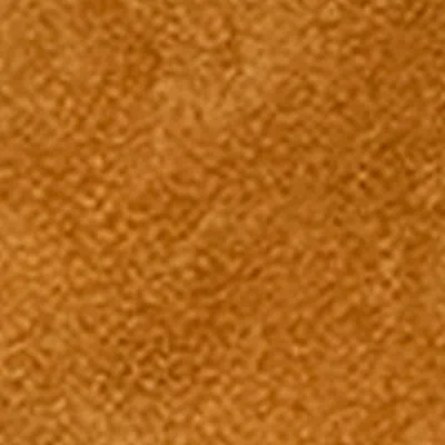 Isabel Marant Winki Leather Boots In Brown