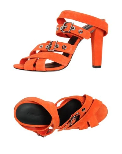 Shop Alexander Wang Sandals In Orange