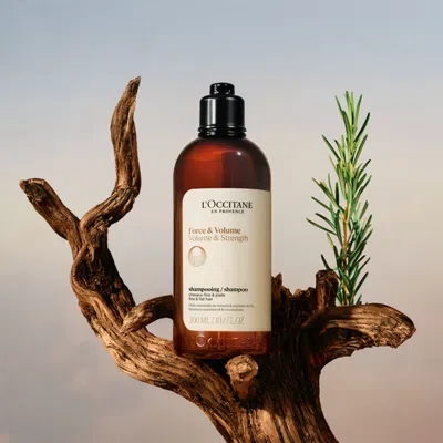 L'occitane - Volume & Strength Shampoo 10.1 Fl oz