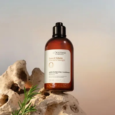 L'occitane - Volume & Strength Conditioner 8.4 Fl oz