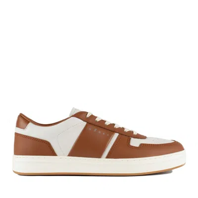 Hogan H-tv Sneakers In White, Brown
