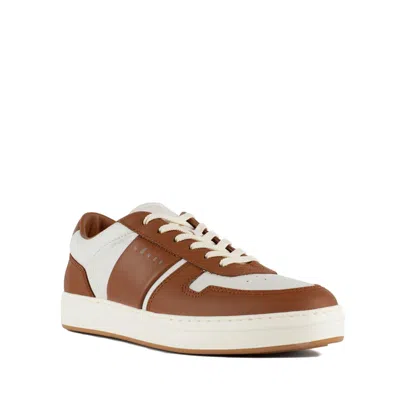 Hogan H-tv Sneakers In White, Brown