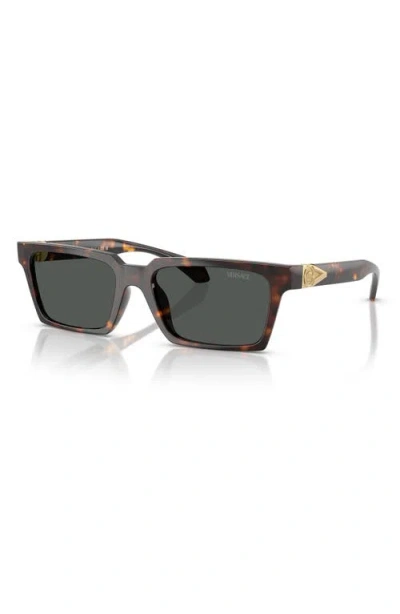 Versace 55mm Rectangular Sunglasses In Havana