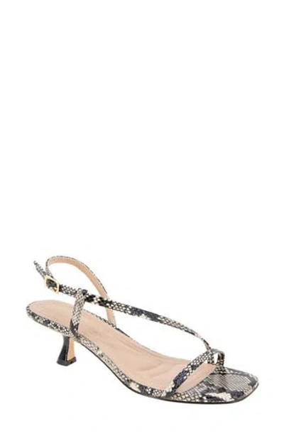 Bcbgeneration Inaya Snakeskin Embossed Sandal In Multi Snake