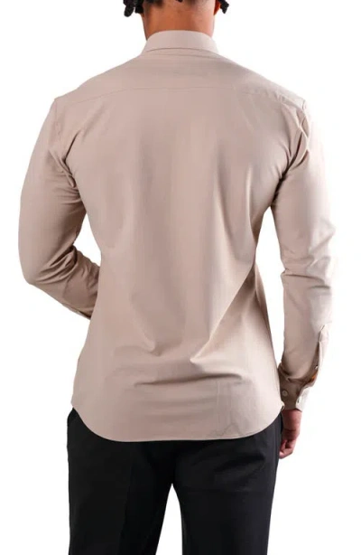 Maceoo Fibonacci Off White Micropattern Stretch Cotton Blend Button-up Shirt In Euro Beige Brown