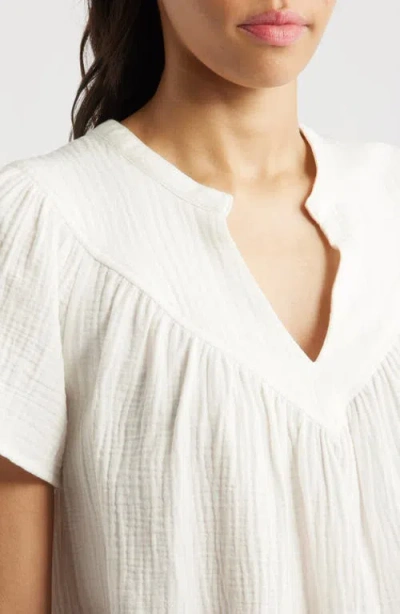 Rails Mesa Flower Embroidered High Waist Cutoff Denim Shorts In Indigo Floral