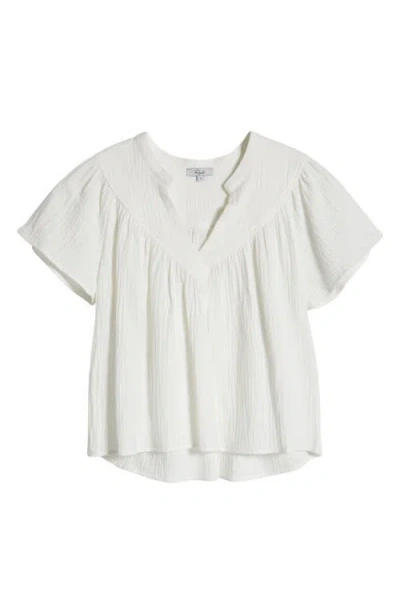 Rails Mesa Flower Embroidered High Waist Cutoff Denim Shorts In Indigo Floral