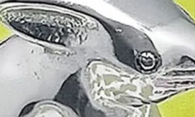 Mariposa Beaded Napkin Box Set In Silver