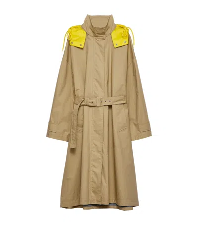 Prada Cotton Belted Trench Coat In Brown