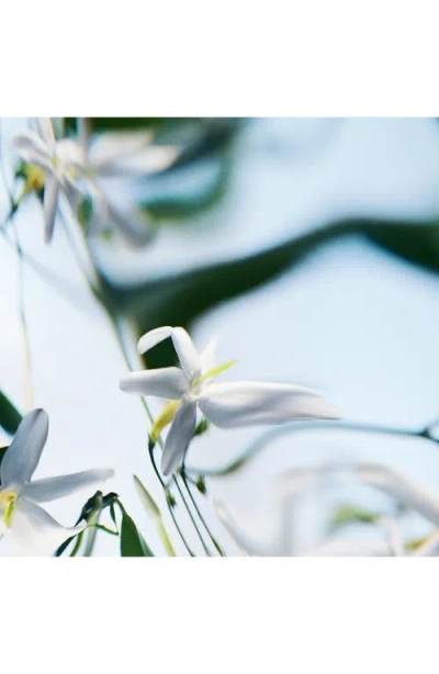 Byredo Blanche Absolu De Parfum, 1.7 Oz. In No Color