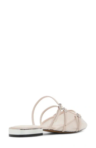 Aldo Aspynn Pointed Toe Mule In Grey