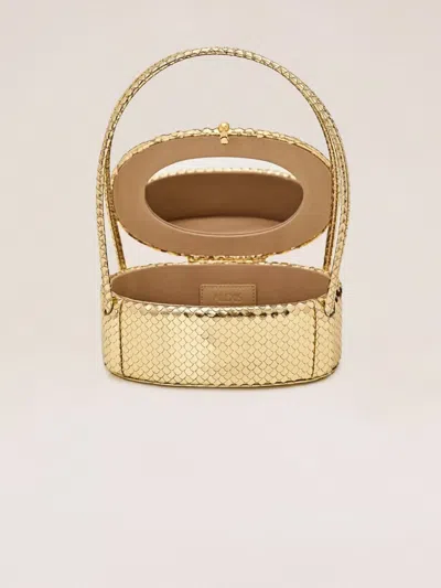 Alexis Constance In Gold