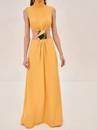 green emerald velvet dress Alexis Heida Dress Gold / S main image 1