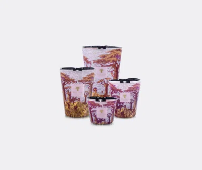 Baobab Collection Candlelight And Scents Violet Uni In Violet