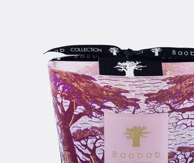 Baobab Collection Candlelight And Scents Violet Uni In Violet