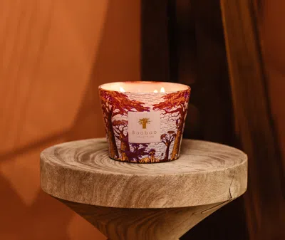 Baobab Collection Candlelight And Scents Violet Uni In Violet