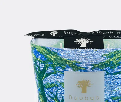Baobab Collection Candlelight And Scents Multicolor Uni In Multicolor