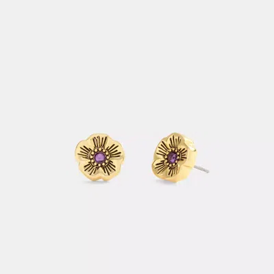 Coach Tea Rose Stone Stud Earrings In Yellow