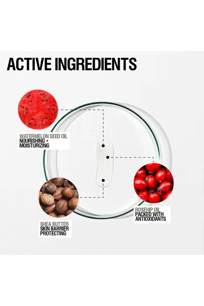 Grown Alchemist Hydra-restore Lip Balm 12ml In N,a