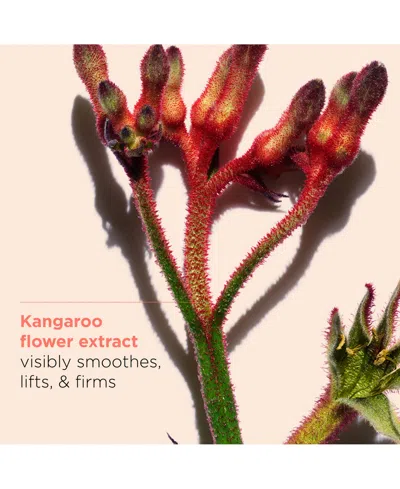 Clarins 3-pc. Extra-firming Skincare Set In No Color