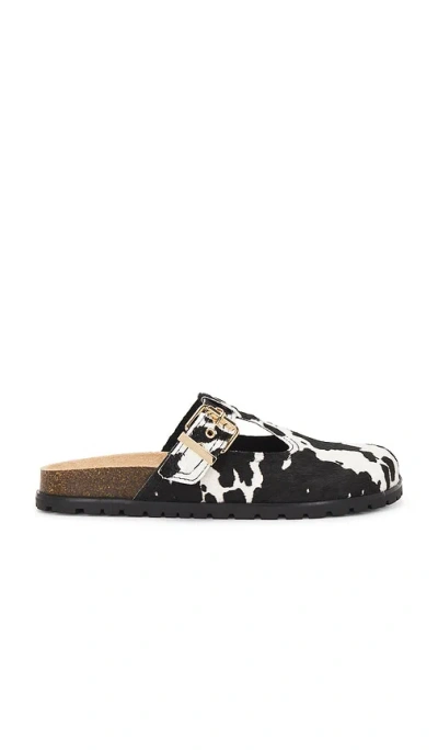 Steve Madden Atticus Genuine Calf Hair Clog In Cowprint Calf Hair